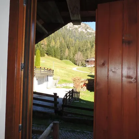 Ai Margini Del Bosco *